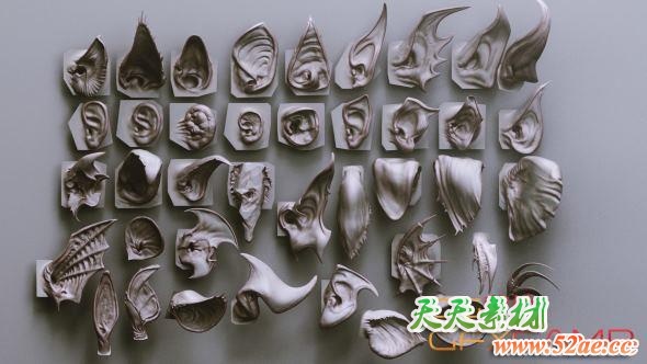 40个ZBrush怪物生物耳朵笔刷模型预设 Artstation Marketplace – EARS – 40 ZBrush VDMs-天天素材网