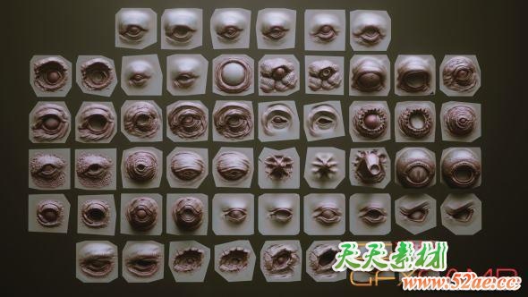ZBrush怪物眼睛眼球笔刷模型预设 Artstation Marketplace – EYES – 28 Zbrush VDM Creature Eyes + 15 Eyeballs IMM brush-天天素材网