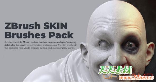 ZBrush人物角色皮肤笔刷预设 ZBrushguides – ZBrush SKIN Brushes Pack-天天素材网