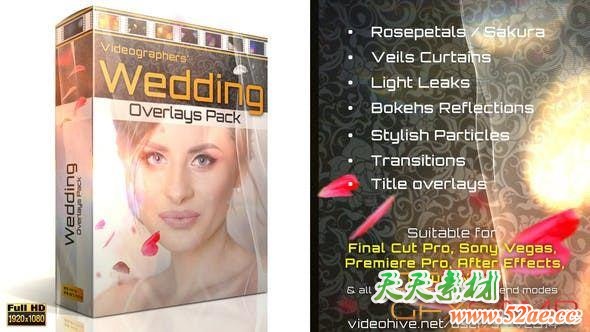 婚礼花瓣例子光效叠加视频素材 Wedding Overlays Pack-天天素材网