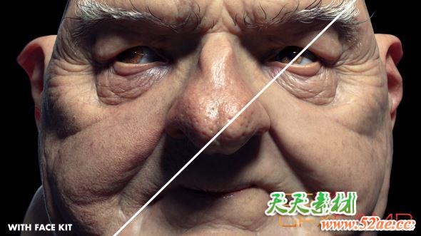 人脸面部深度贴图素材 FlippedNormals – Face kit-天天素材网