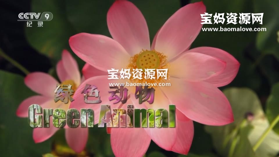 《绿色动物 Green Animals》[全3集][国语中字][1080P][MP4]-天天素材网