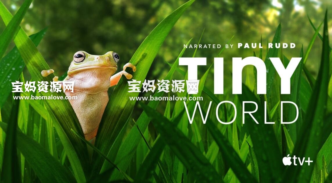 《小小世界》Tiny World中文版 第一季 [全6集][国语中字][1080P][MP4]-天天素材网