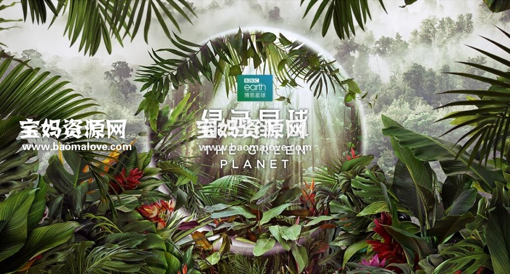 《绿色星球》The Green Planet中文版 第一季 [全6集][国语中英字][1080P][MP4]-天天素材网