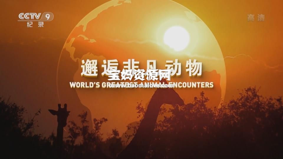 《邂逅非凡动物 World's Greatest Animal Encounters》[全5集][国语中字][1080P][MP4]-天天素材网
