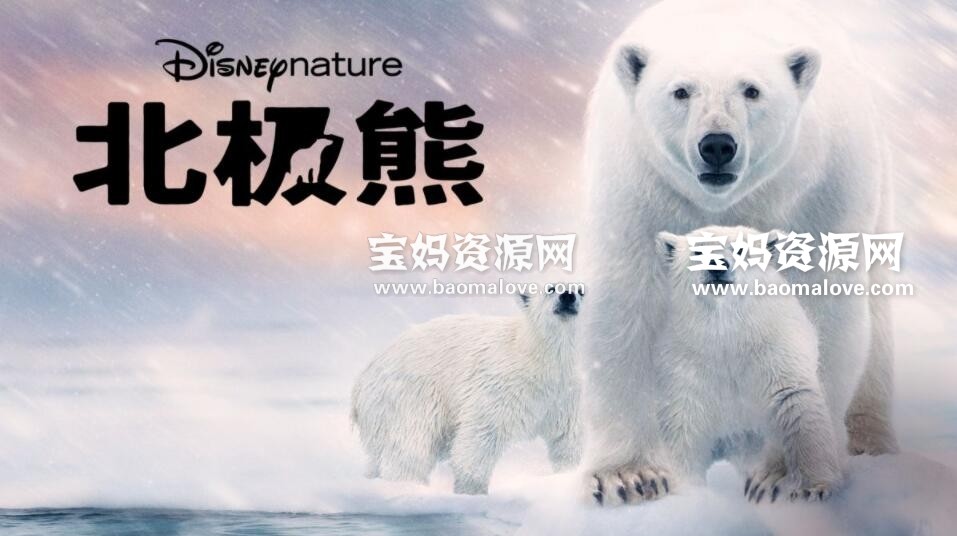 《北极熊 Polar Bear》[全1集][英语][1080P][MKV]-天天素材网