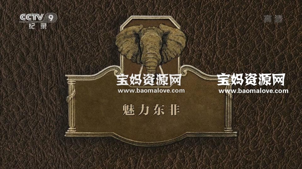 《魅力东非》[全2集][国语中字][1080P][MP4]-天天素材网