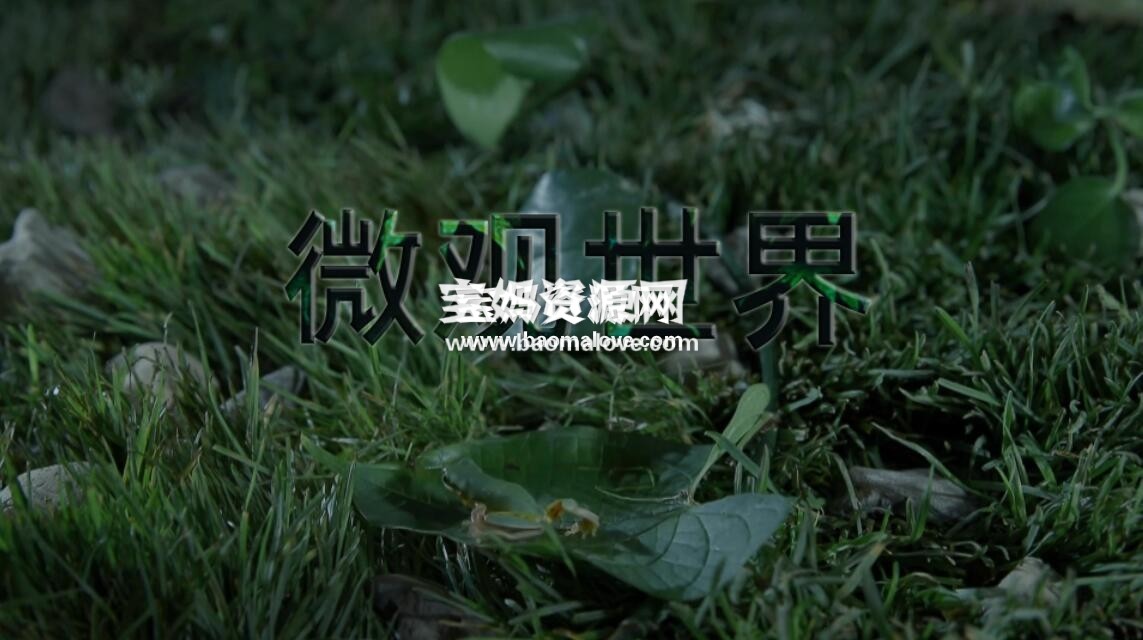 《微观世界》[全5集][国语中字][1080P][MP4]-天天素材网