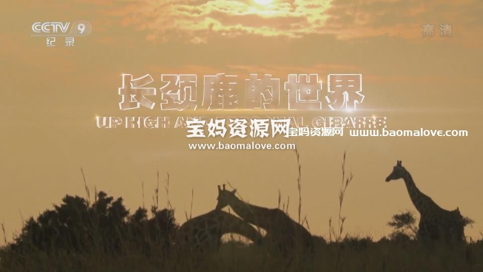 《长颈鹿的世界 Giraffe Up High and Personal》[全1集][国语中字][1080P][MP4]-天天素材网