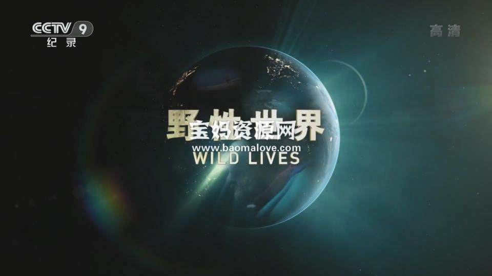 《野性世界 Wild Lives》[全3集][国语中字][1080P][MP4]-天天素材网