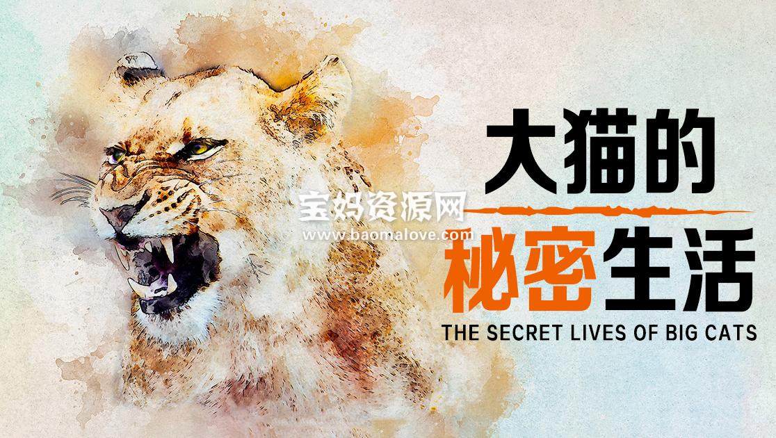 《大猫的秘密生活 The Secret Lives Of Big Cats》[全7集][英语中英字][1080P][MP4]-天天素材网