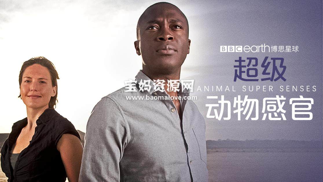 《超级动物感官 Super Senses: The Secret Power Of Animals》 第一季 [全3集][英语中字][1080P][MP4]-天天素材网