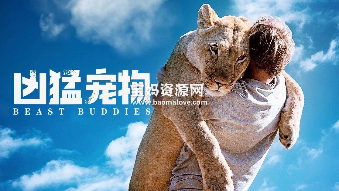 《凶猛宠物 Beast Buddies》[全10集][英语中英字][1080P][MP4]-天天素材网