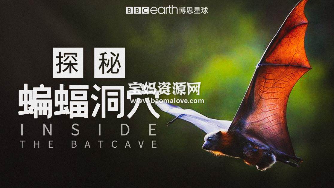 《探秘蝙蝠洞穴 Inside the Bat Cave》 [全2集][英语中字][1080P][MP4]-天天素材网