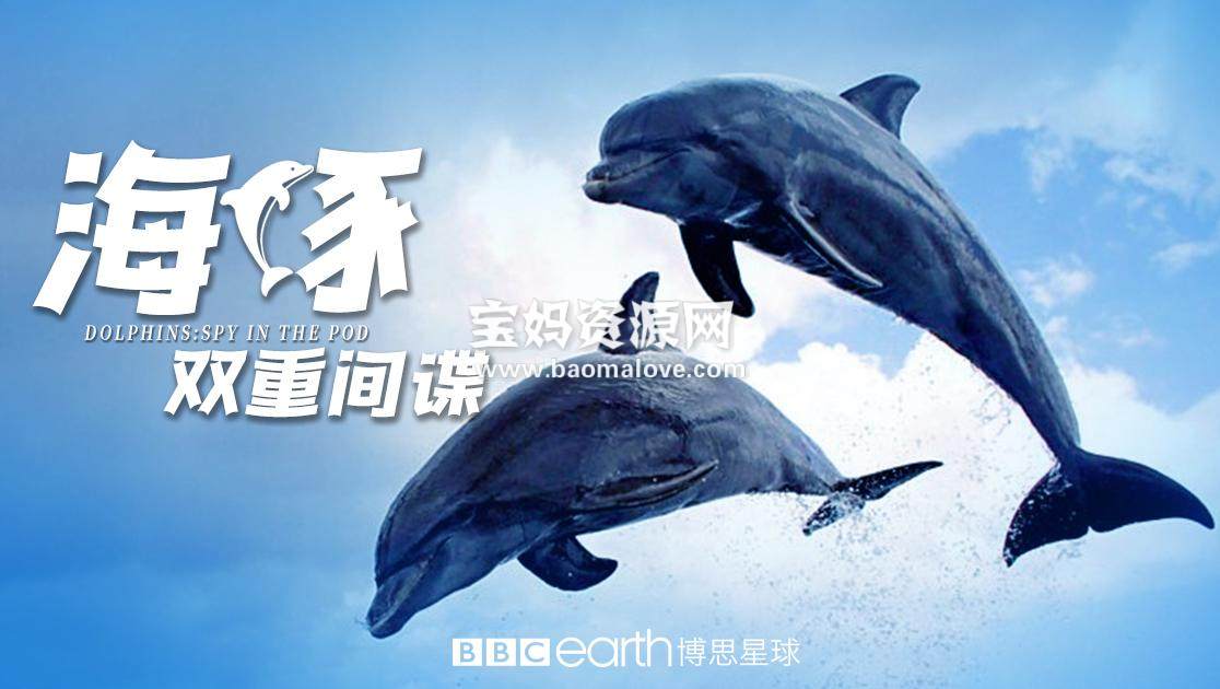 《海豚：双重间谍 Dolphins - Spy in the Pod》 [全2集][英语中字][1080P][MP4]-天天素材网