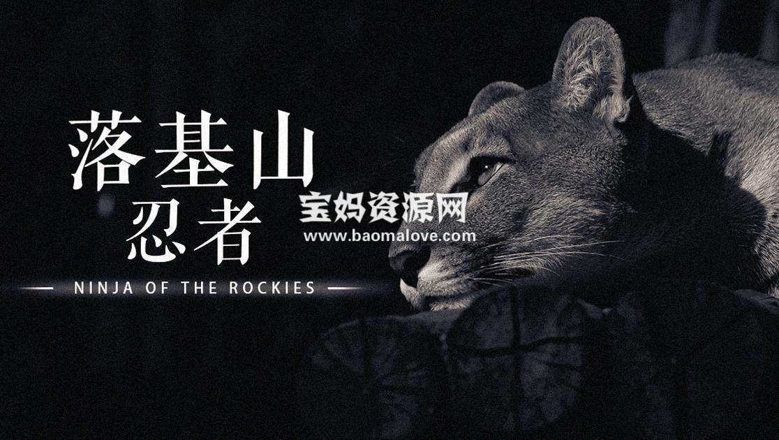 《落基山忍者 Ninja Of The Rockies》 [全4集][英语中字][1080P][MP4]-天天素材网