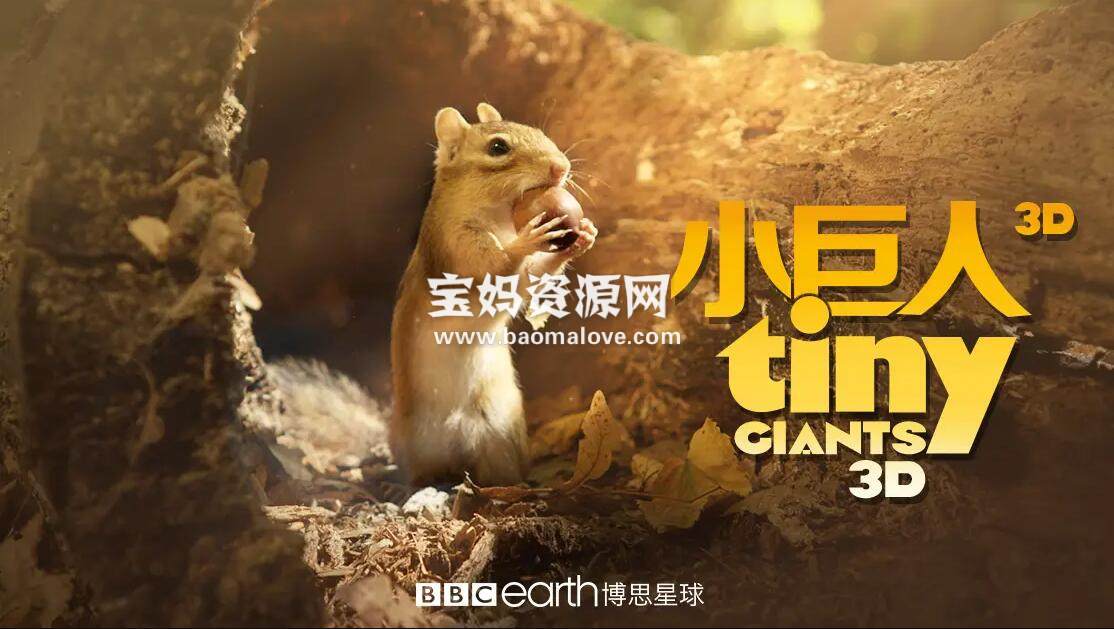 《小巨人 3D Tiny Giants 3D》 [全1集][英语中英字][1080P][MP4]-天天素材网