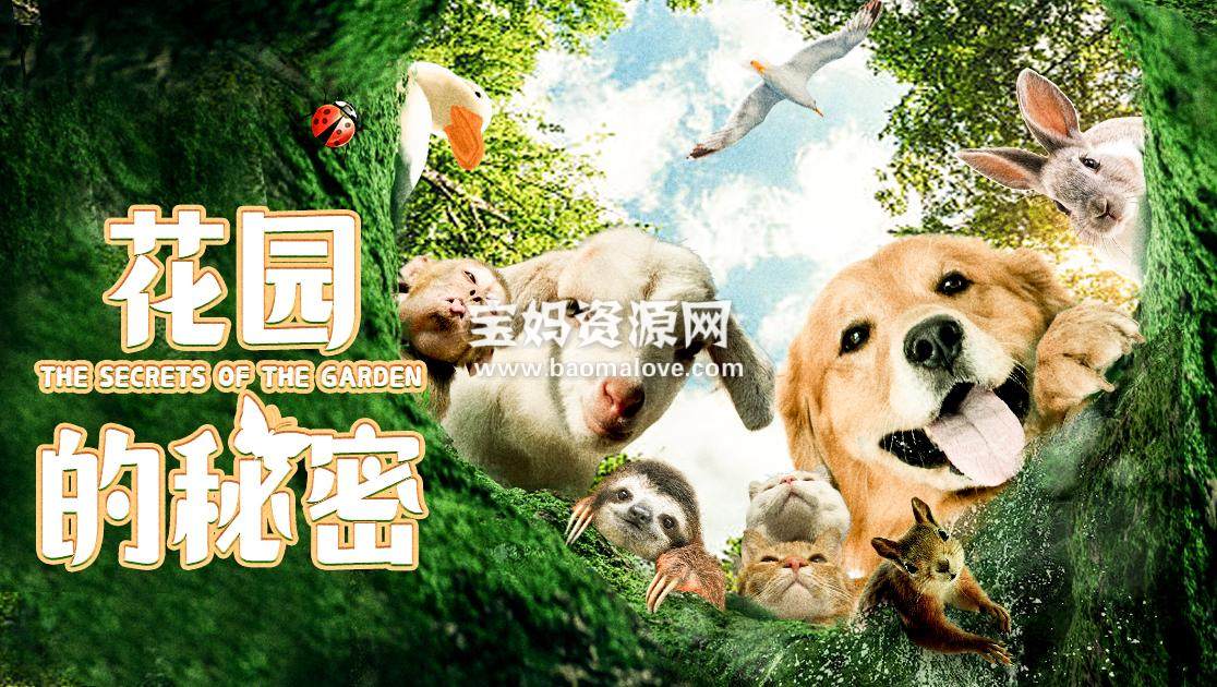 《花园的秘密 The Secrets Of The Garden》 [全6集][英语中字][1080P][MP4]-天天素材网