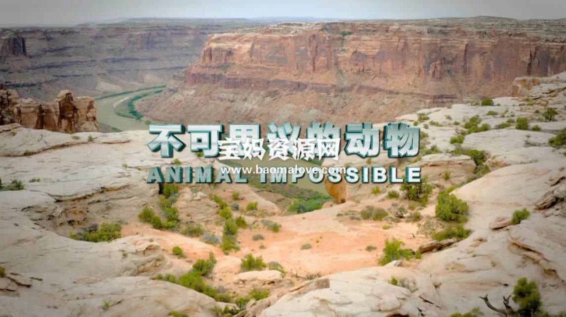 《不可思议的动物 Animal Impossible》[全10集][国语中字][1080P][MP4]-天天素材网