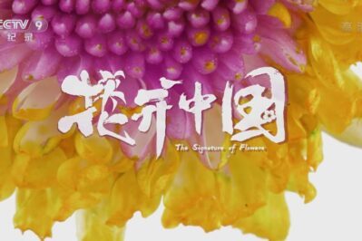 《花开中国》[全5集][国语中字][1080P][MP4]-天天素材网