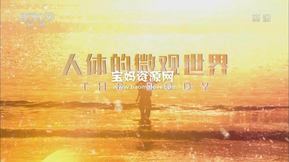 《人体的微观世界 The Body》[全8集][国语中字][1080P][MP4]-天天素材网