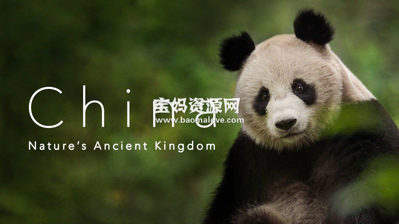 《中国：大自然的古老王国 China：Nature's Ancient Kingdom》第一季 [全3集][英语][1080P][MKV]-天天素材网