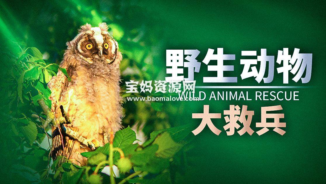 《野生动物大救兵 Wild Animal Rescue》 [全4集][英语中字][1080P][MP4]-天天素材网