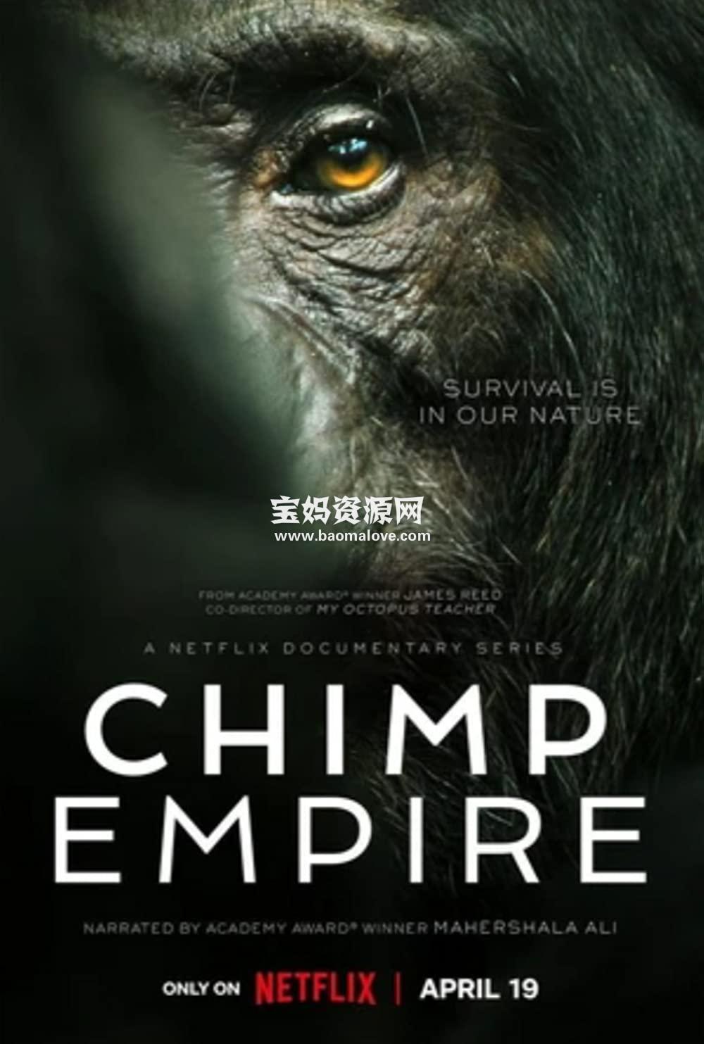 《黑猩猩帝国 Chimp Empire》第一季 [全4集][英语][1080P][MKV]-天天素材网