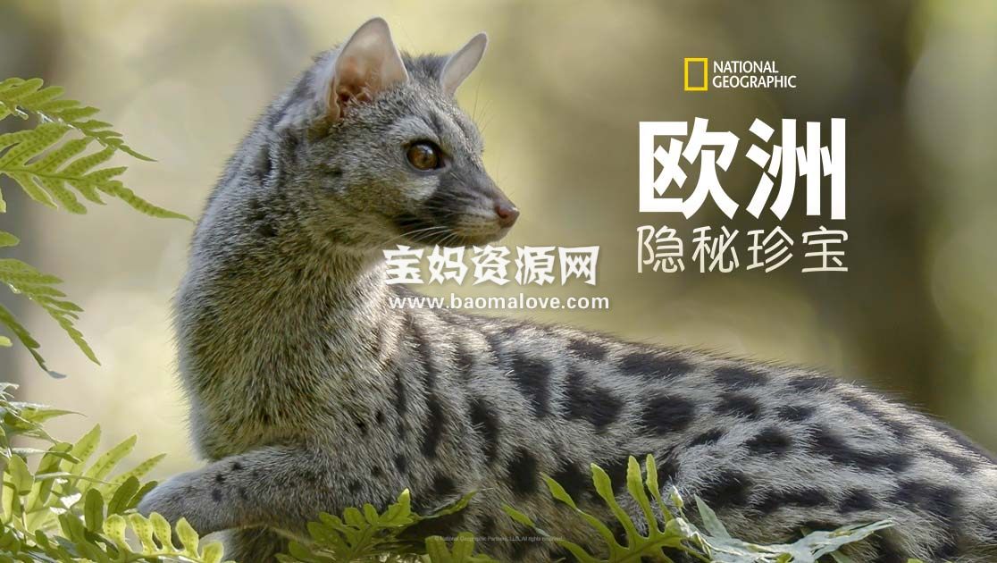 《欧洲隐密珍宝 Europe's Hidden Wonders》 第一季 [全4集][英语中英字][1080P][MP4]-天天素材网