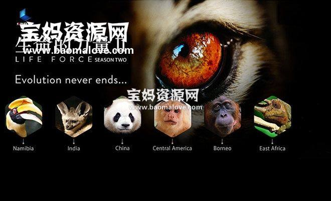 《生命的力量 Life Force II》第二季 [全6集][国语中字][1080P][MP4]-天天素材网