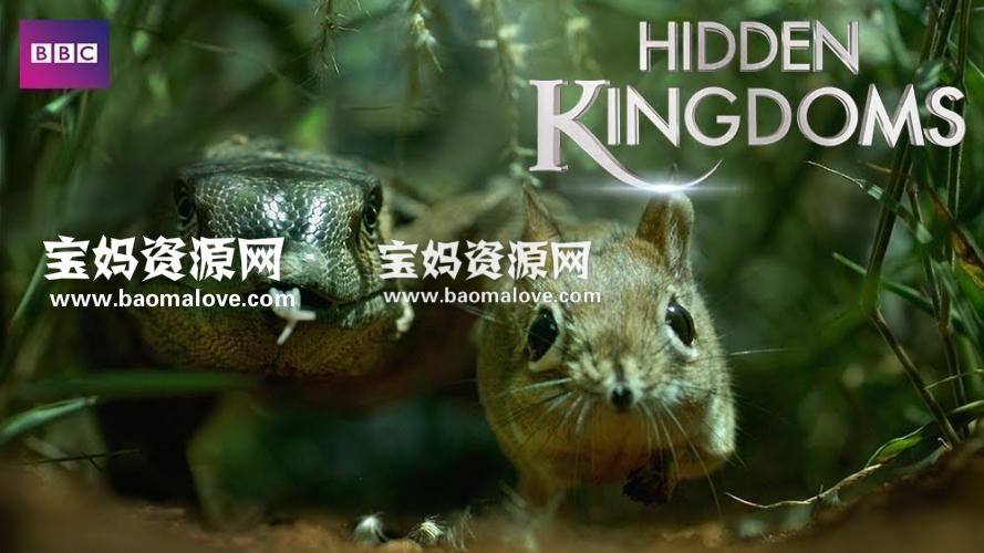 《隐秘王国 Hidden Kingdoms》[全3集][国语中字][1080P][MP4]-天天素材网