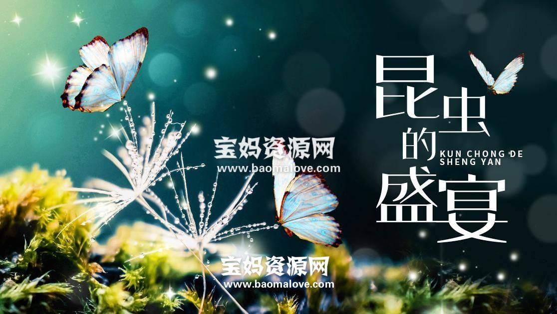 《昆虫的盛宴》[全8集][国语中字][1080P][MP4]-天天素材网