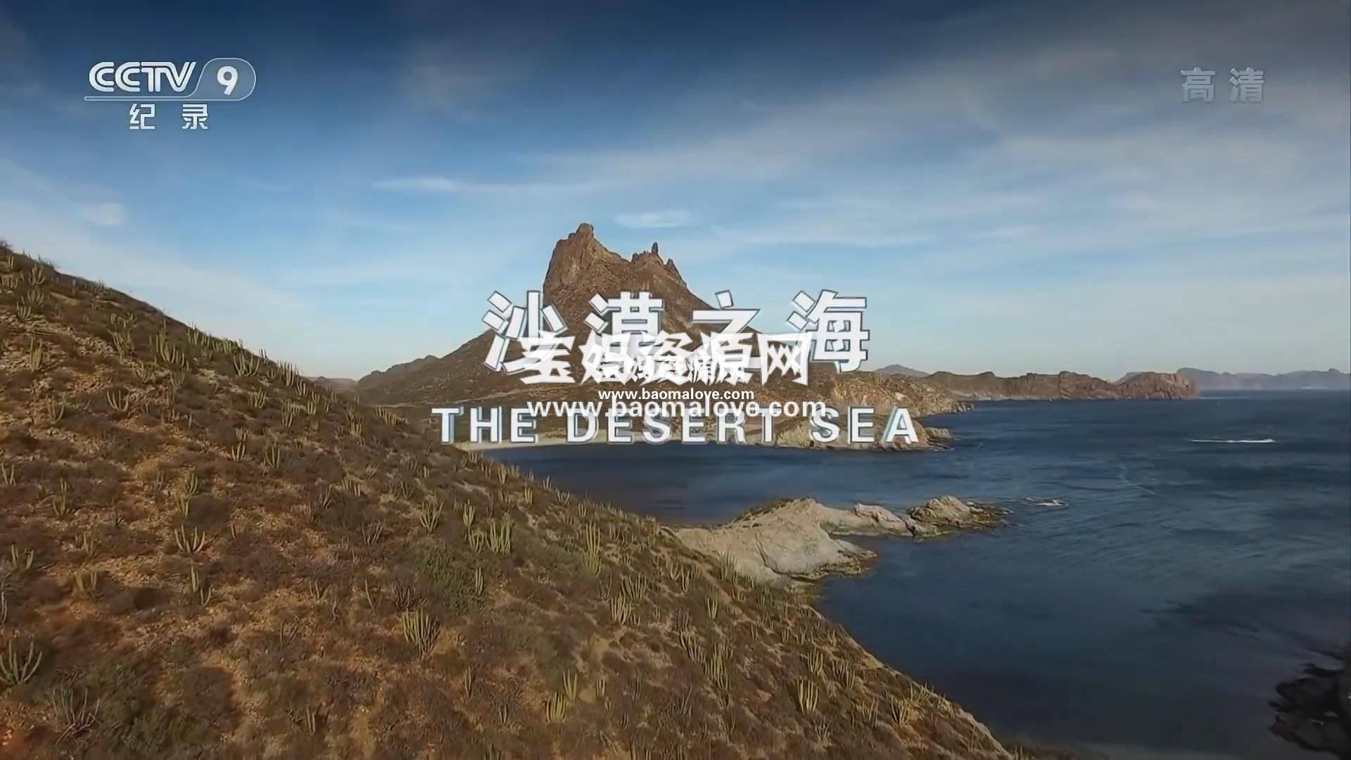 《沙漠之海 The Desert Sea》[全2集][国语中字][1080P][MP4]-天天素材网