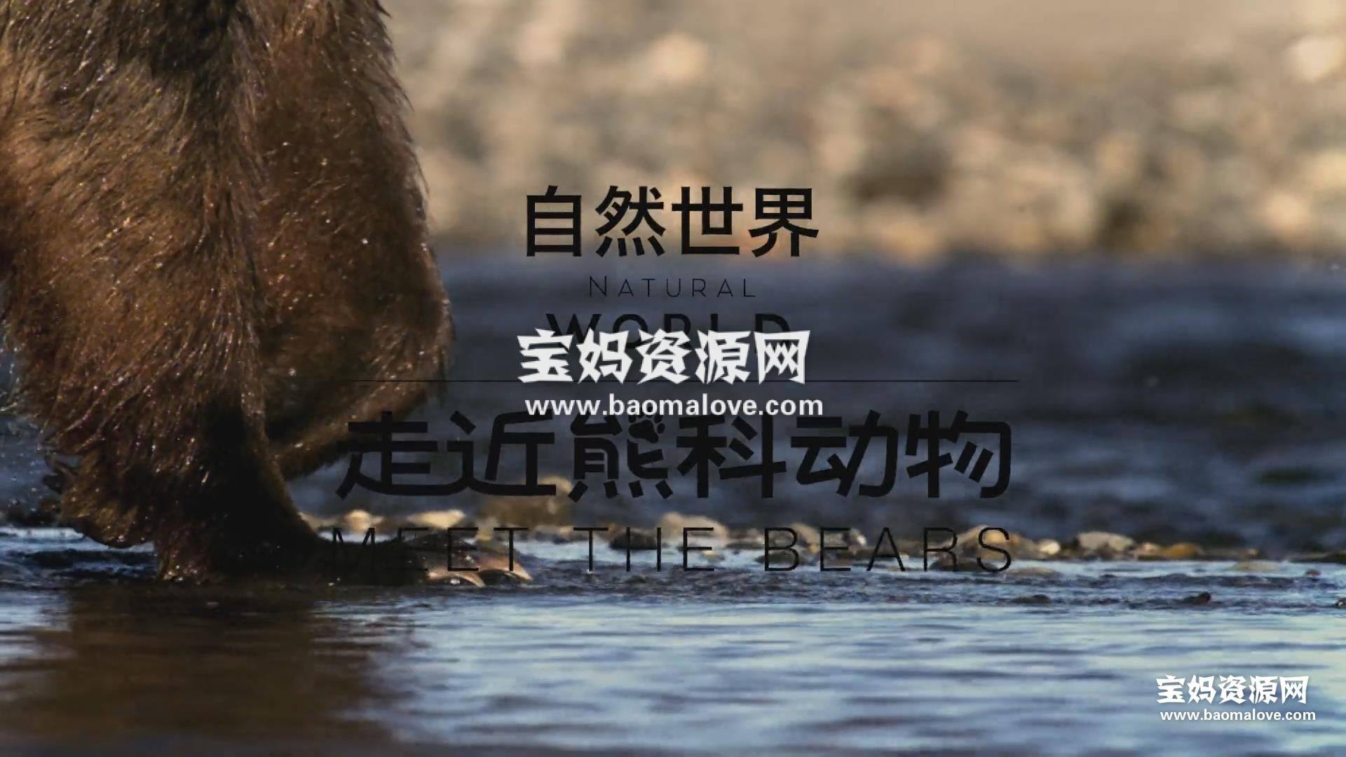 《自然世界 Natural World》[全5集][英语中英字][1080P][MP4]-天天素材网
