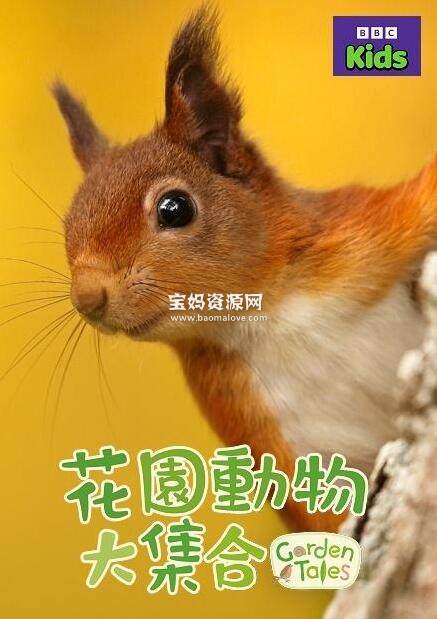 《花园动物大集合 Garden Tales》 第一季 [全25集][英语][720P][MP4]-天天素材网