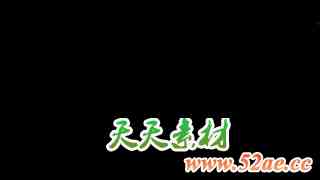 Premiere/PR脚本-1760组视频特效无缝转场调色分屏背景文字标题字幕条预设 Gal Toolkit V3.6