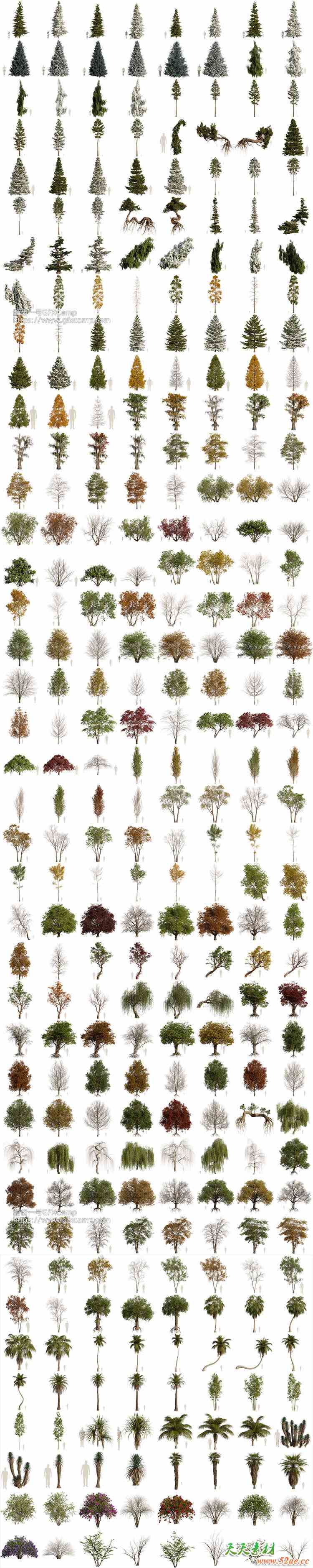 Blender植物树木自然环境散布生成动画资产预设库 Arborea v1.03 Pro + 中文字幕教程