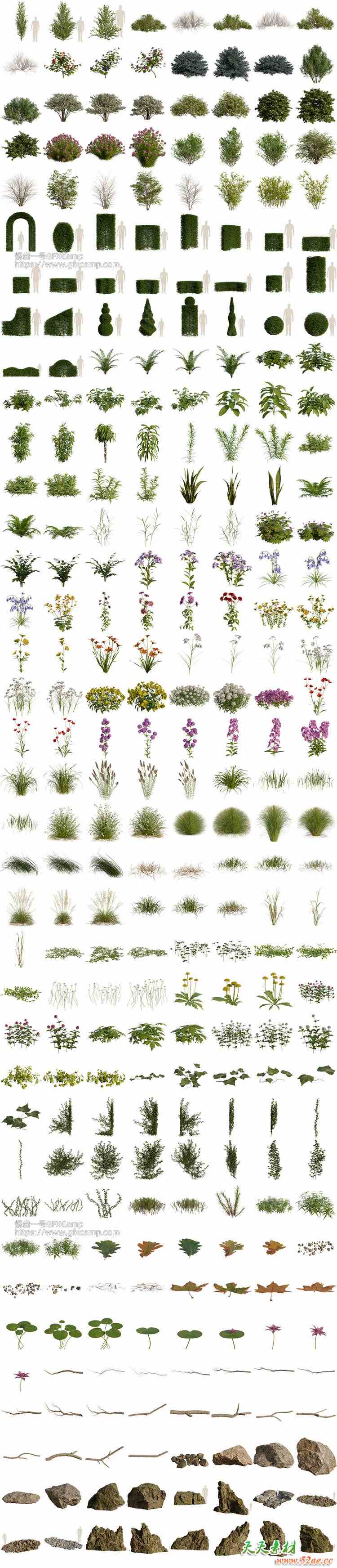 Blender植物树木自然环境散布生成动画资产预设库 Arborea v1.03 Pro + 中文字幕教程