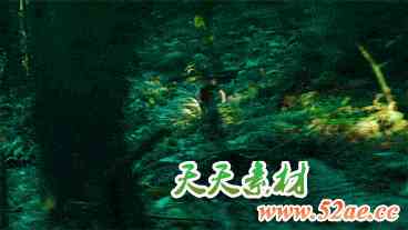 达芬奇预设-1000组摄像机推拉平移聚焦粒子图形遮罩无缝视频转场