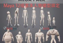 Maya 12组基本人物模型绑定，动画师必备神器！！-天天素材网