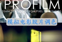 FCPX插件 ProFilm 模拟电影胶片调色效果 for Final Cut Pro X-天天素材网