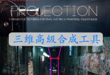 FCPX插件 Projection 图片模拟视频三维高级工程合成工具插件-天天素材网