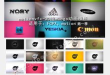 motionvfx-60组 mLogo 动画模板 mLogo 2 for FCPX - Motion 5-天天素材网