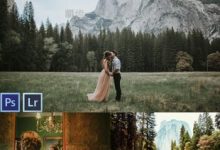 PS/Lr 电影胶片复古风格照片调色预设 Tribe Archipelago-天天素材网