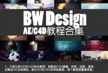 BW Design AE/C4D教程合集(含工程) 3.5G 免费更新-天天素材网