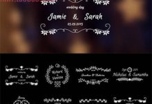 FCPX插件 8组时尚花纹生长婚礼名字日期标题展示动画-天天素材网