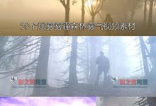 50个烟雾雾霾森林雾气流动1080P高清视频素材-天天素材网