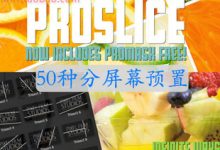 FCPX插件 ProSlice v1 分屏幕50种预置 for Final Cut Pro X-天天素材网