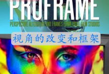 FCPX插件 Proframe 复古花纹边框专业视角的改变和框架插件-天天素材网