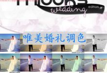 FCPX调色插件：50组清新唯美婚礼调色预设 mLooks Wedding-天天素材网
